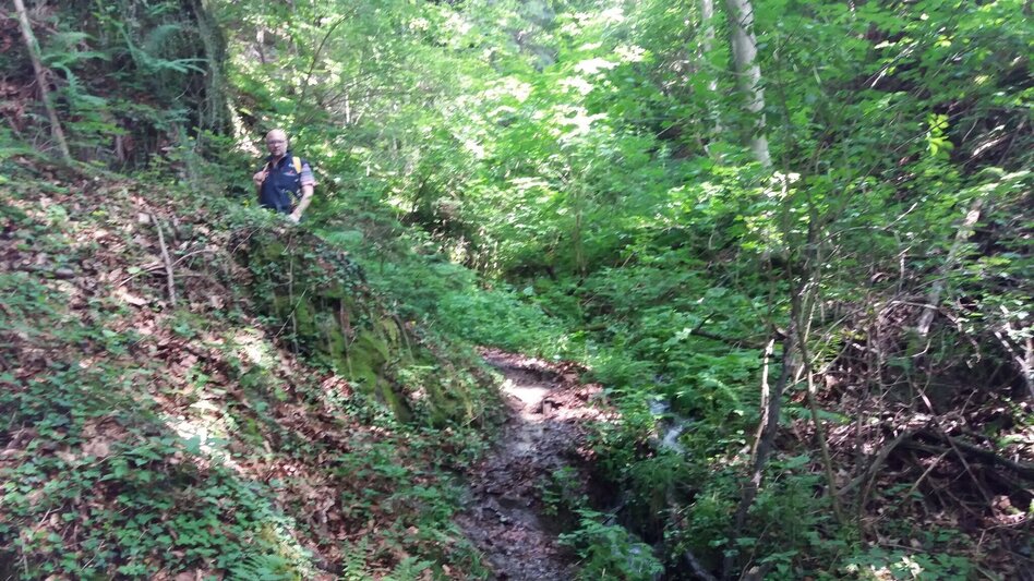 Wanderung Bärnbacher Erzherzog Johann Wanderweg (5) - Touren-Impression #2.8 | © Region Graz