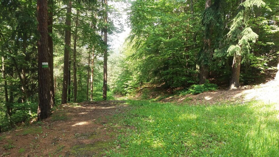 Wanderung Bärnbacher Erzherzog Johann Wanderweg (5) - Touren-Impression #2.10 | © Region Graz