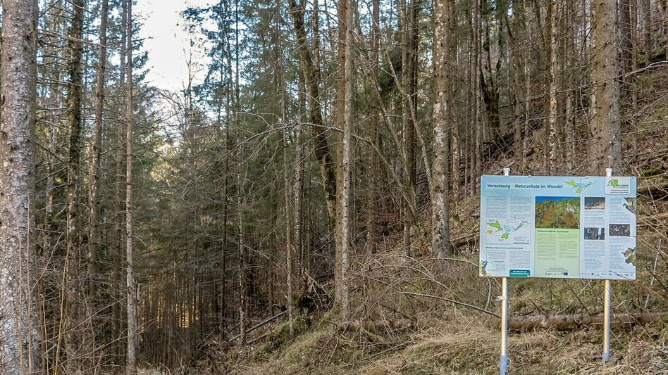 Theme path Gasteiger circular hiking trail - Touren-Impression #2.8 | © TV Gesäuse