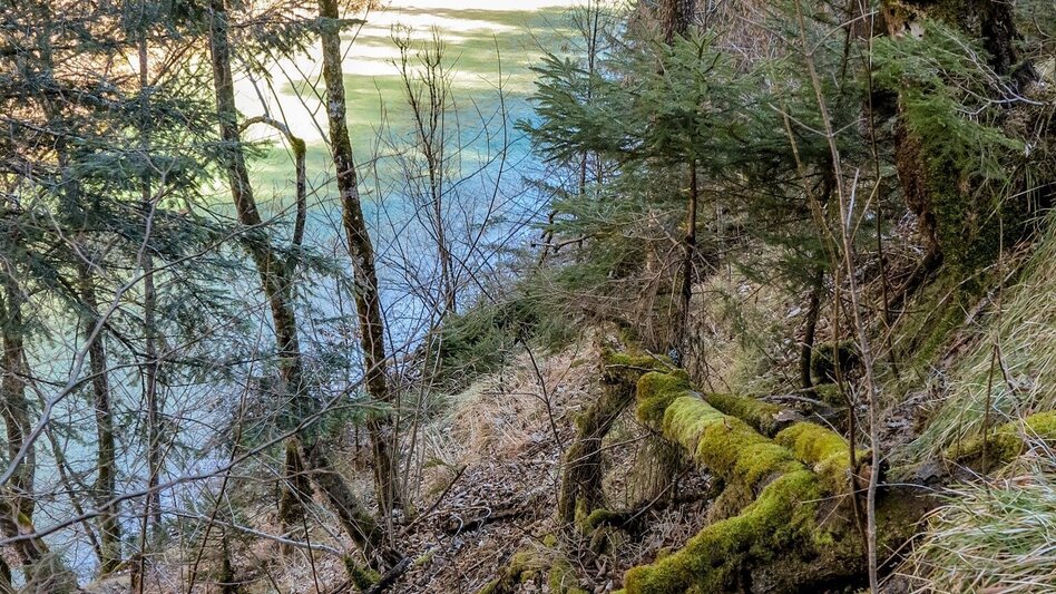 Theme path Gasteiger circular hiking trail - Touren-Impression #2.9 | © TV Gesäuse