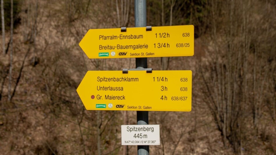 Hiking route Spitzenbachklamm the "Valley of the Butterflies - Touren-Impression #2.1 | © TV Gesäuse