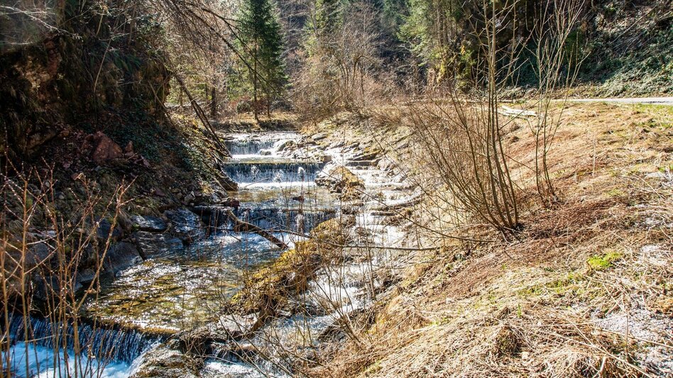 Hiking route Spitzenbachklamm the "Valley of the Butterflies - Touren-Impression #2.4 | © TV Gesäuse