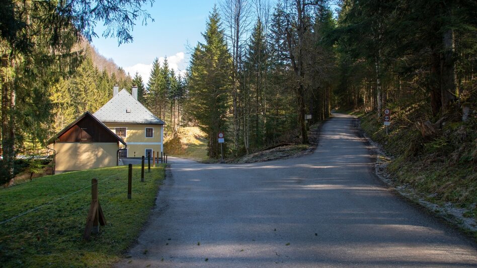 Hiking route Spitzenbachklamm the "Valley of the Butterflies - Touren-Impression #2.5 | © TV Gesäuse