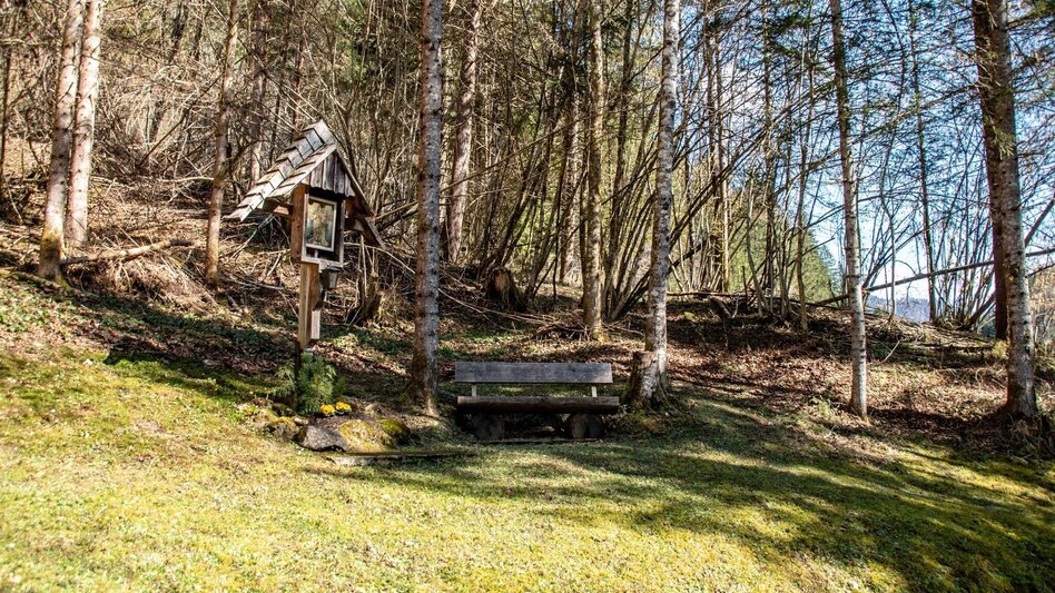 Hiking route Spitzenbachklamm the "Valley of the Butterflies - Touren-Impression #2.6 | © TV Gesäuse