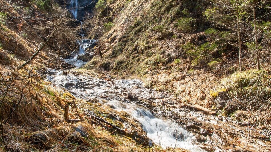 Hiking route Spitzenbachklamm the "Valley of the Butterflies - Touren-Impression #2.9 | © TV Gesäuse