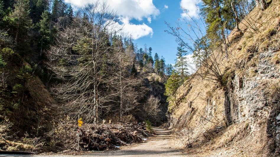 Hiking route Spitzenbachklamm the "Valley of the Butterflies - Touren-Impression #2.10 | © TV Gesäuse