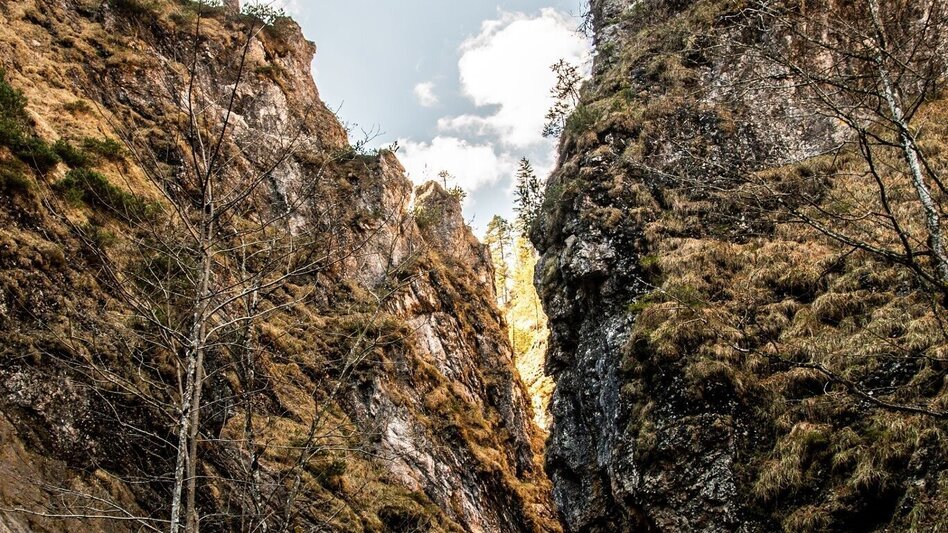 Hiking route Spitzenbachklamm the "Valley of the Butterflies - Touren-Impression #2.12 | © TV Gesäuse