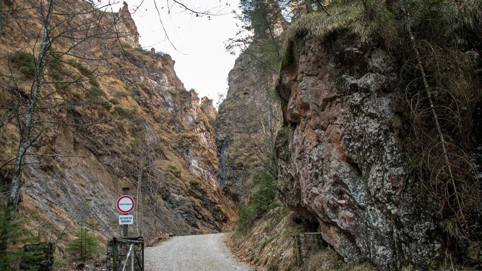 Hiking route Spitzenbachklamm the "Valley of the Butterflies - Touren-Impression #2.11 | © TV Gesäuse