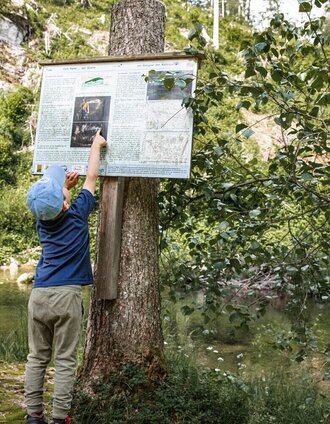 johnsbacher schattseitenweg_img_51666236 | Tourismusverband Gesäuse | © TV Gesäuse