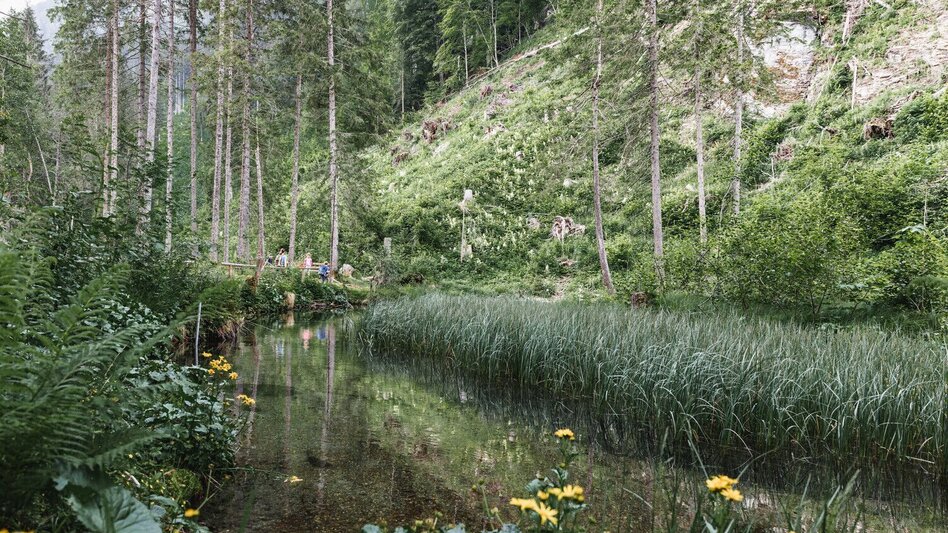 Wanderung Johnsbacher Schattseitenweg - Touren-Impression #2.2 | © TV Gesäuse