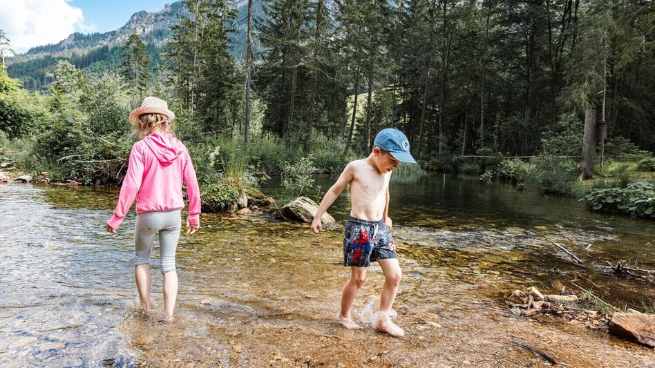 Wanderung Johnsbacher Schattseitenweg - Touren-Impression #2.4 | © TV Gesäuse