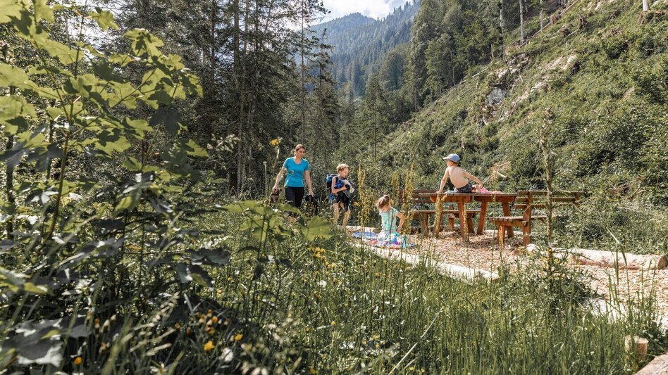 Wanderung Johnsbacher Schattseitenweg - Touren-Impression #2.6 | © TV Gesäuse