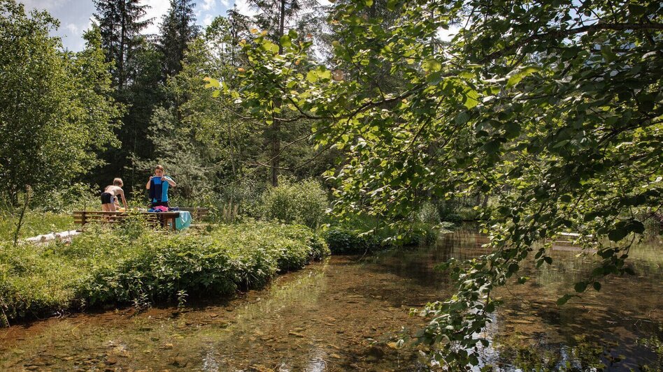 Wanderung Johnsbacher Schattseitenweg - Touren-Impression #2.7 | © TV Gesäuse