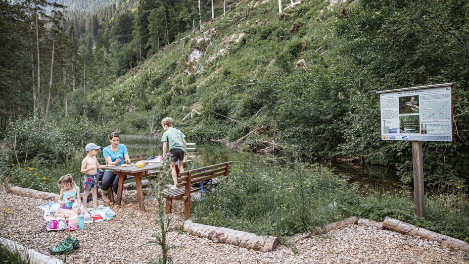 Wanderung Johnsbacher Schattseitenweg - Touren-Impression #2.8 | © TV Gesäuse