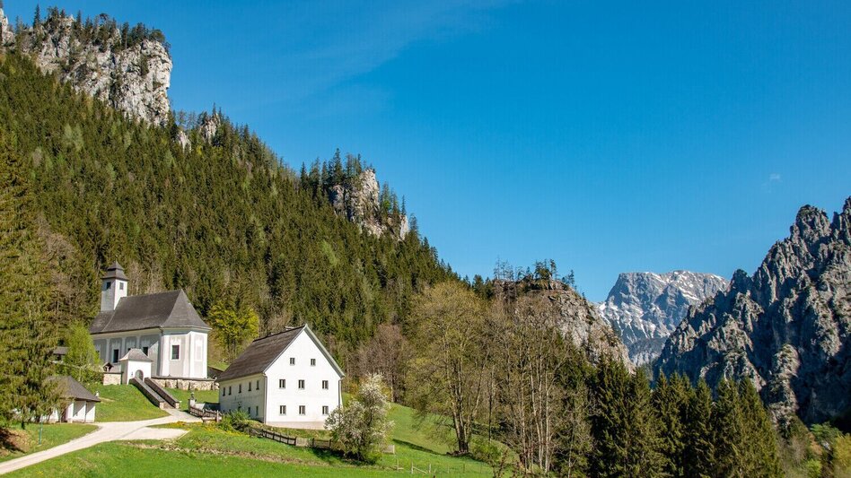 Wanderung Johnsbacher Schattseitenweg - Touren-Impression #2.9 | © TV Gesäuse