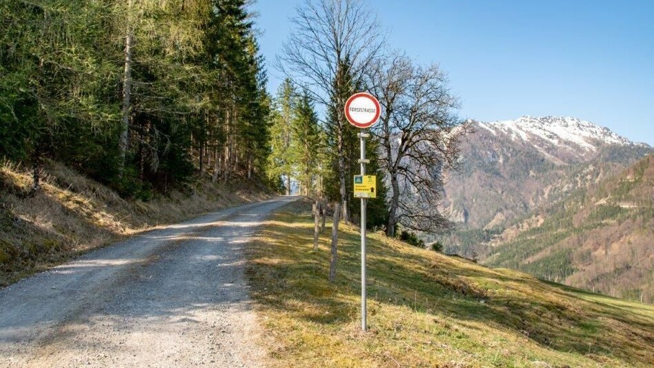 Mountain Hike Zinödlberground St.Gallen - Touren-Impression #2.1 | © TV Gesäuse