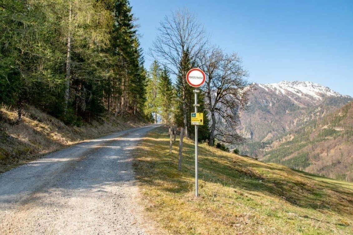 Mountain Hike Zinödlberground St.Gallen - Touren-Impression #1 | © TV Gesäuse