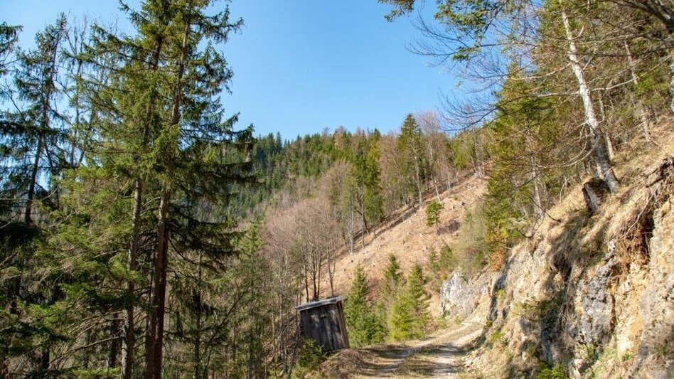 Mountain Hike Zinödlberground St.Gallen - Touren-Impression #2.3 | © TV Gesäuse