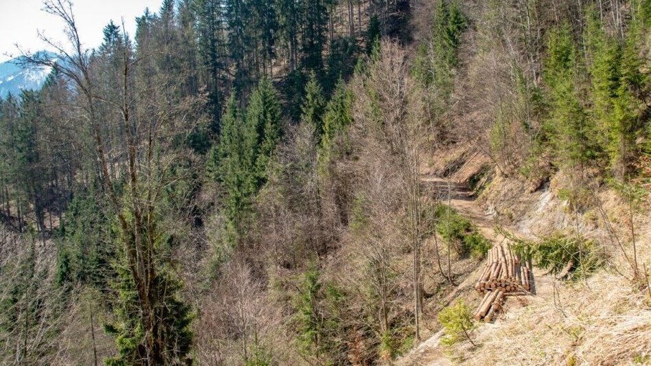 Mountain Hike Zinödlberground St.Gallen - Touren-Impression #2.4 | © TV Gesäuse