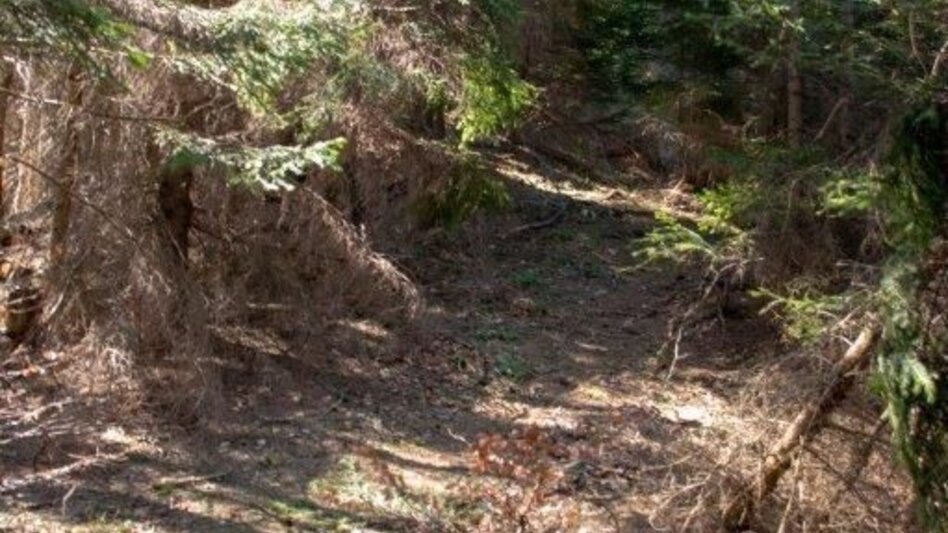 Mountain Hike Zinödlberground St.Gallen - Touren-Impression #2.6 | © TV Gesäuse