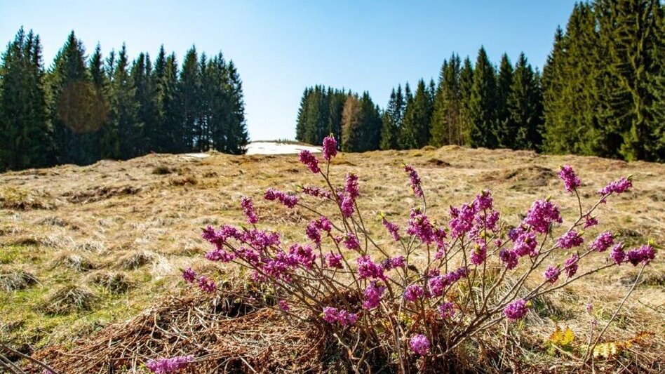 Mountain Hike Zinödlberground St.Gallen - Touren-Impression #2.8 | © TV Gesäuse