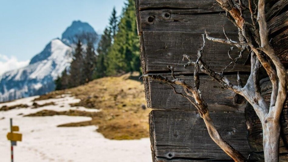 Mountain Hike Zinödlberground St.Gallen - Touren-Impression #2.10 | © TV Gesäuse