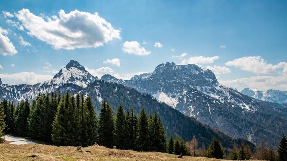 Mountain Hike Zinödlberground St.Gallen - Touren-Impression #2.11 | © TV Gesäuse