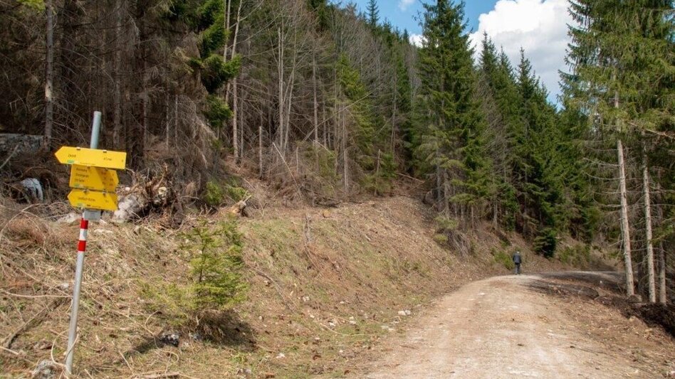 Mountain Hike Zinödlberground St.Gallen - Touren-Impression #2.12 | © TV Gesäuse