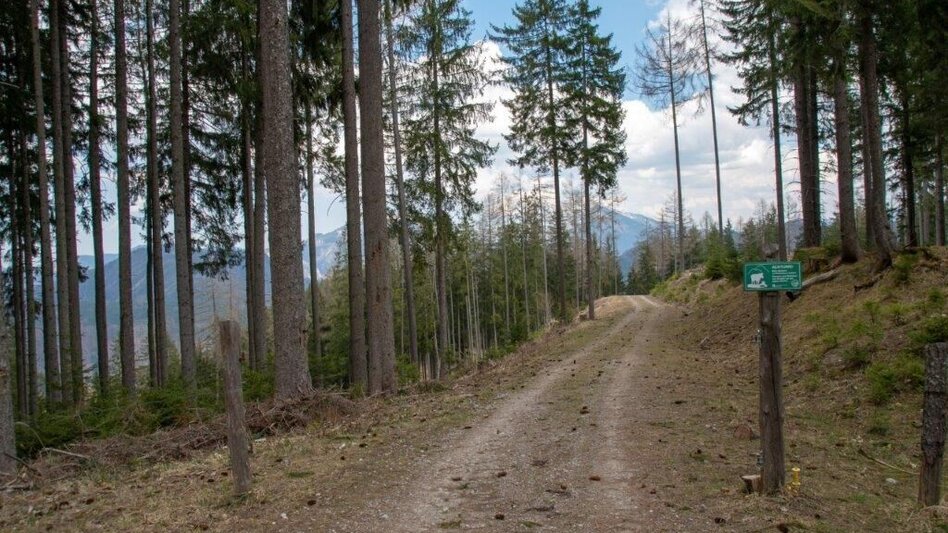 Mountain Hike Zinödlberground St.Gallen - Touren-Impression #2.13 | © TV Gesäuse