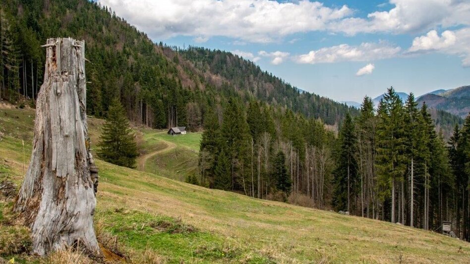 Mountain Hike Zinödlberground St.Gallen - Touren-Impression #2.14 | © TV Gesäuse