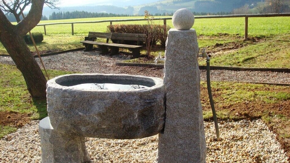 Hiking route Kneipp hiking trail, St. Jakob im Walde - Touren-Impression #2.1 | © Klaudia Zink