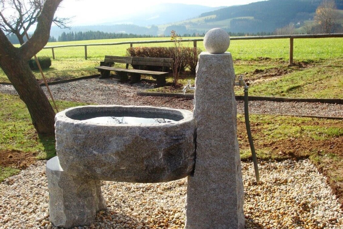 Hiking route Kneipp hiking trail, St. Jakob im Walde - Touren-Impression #1 | © Klaudia Zink