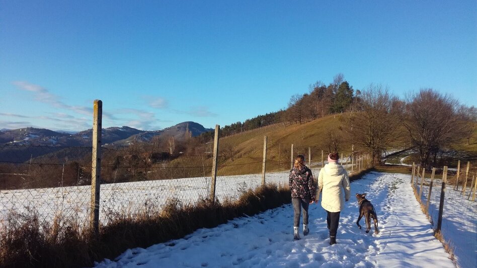 Wanderung Mattelsberger Rundwanderweg Nr. 7 - Touren-Impression #2.2 | © Südsteiermark