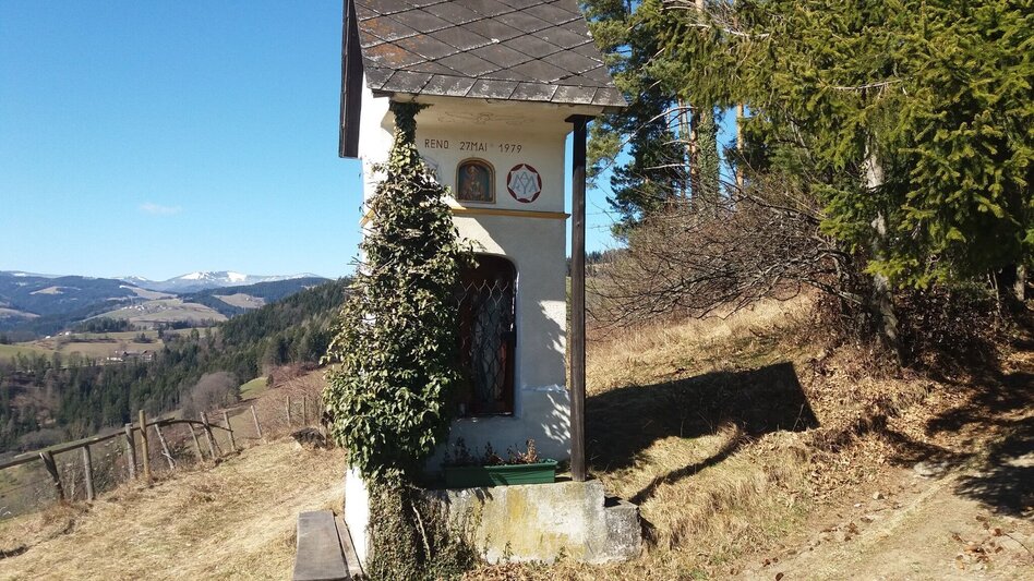 Wanderung Bärnbacher Blumenweg (3) - Touren-Impression #2.3 | © Region Graz