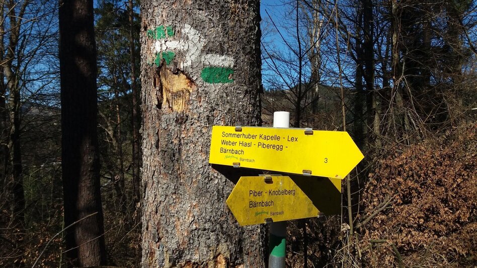Wanderung Bärnbacher Blumenweg (3) - Touren-Impression #2.11 | © Region Graz