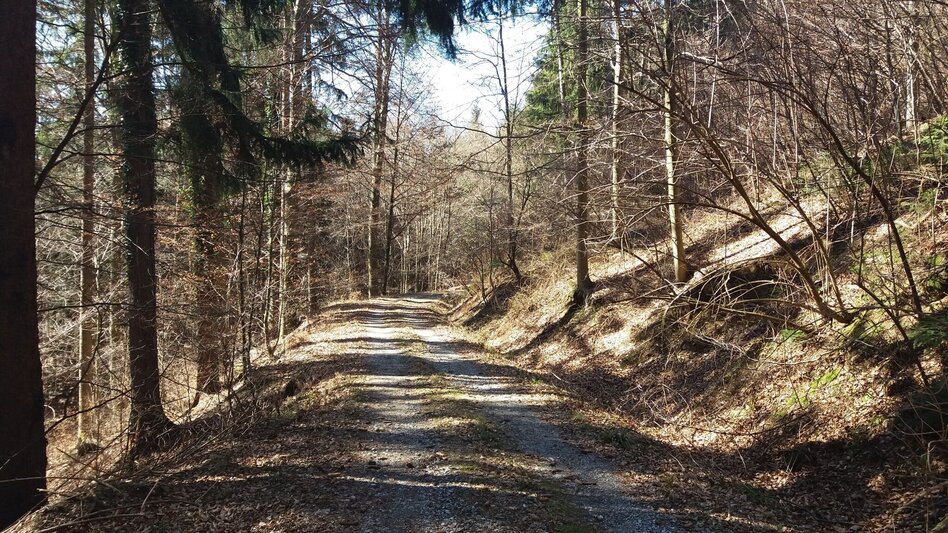 Wanderung Bärnbacher Blumenweg (3) - Touren-Impression #2.12 | © Region Graz