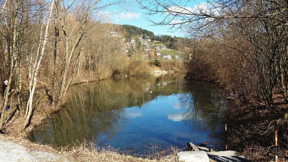 Wanderung Bärnbacher Blumenweg (3) - Touren-Impression #2.6 | © Region Graz