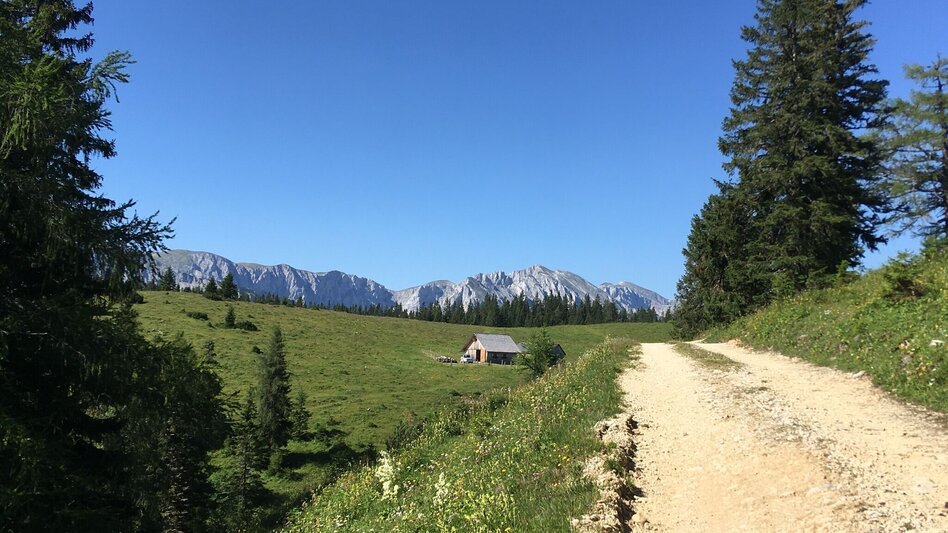Hiking route Zeller Staritzen - round trip - Touren-Impression #2.2 | © TV Hochsteiermark