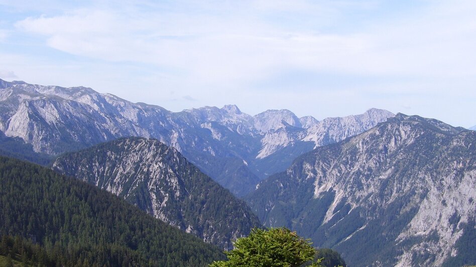 Hiking route Zeller Staritzen - round trip - Touren-Impression #2.3 | © TV Hochsteiermark