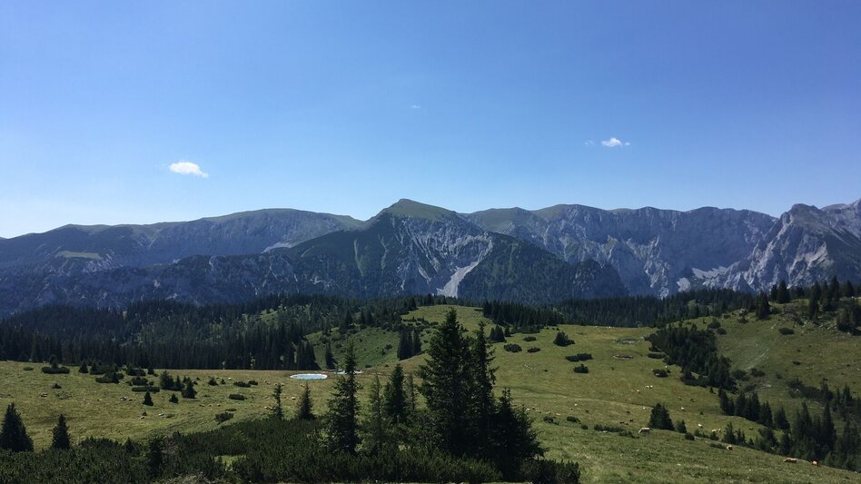 Hiking route Zeller Staritzen - round trip - Touren-Impression #2.6 | © TV Hochsteiermark
