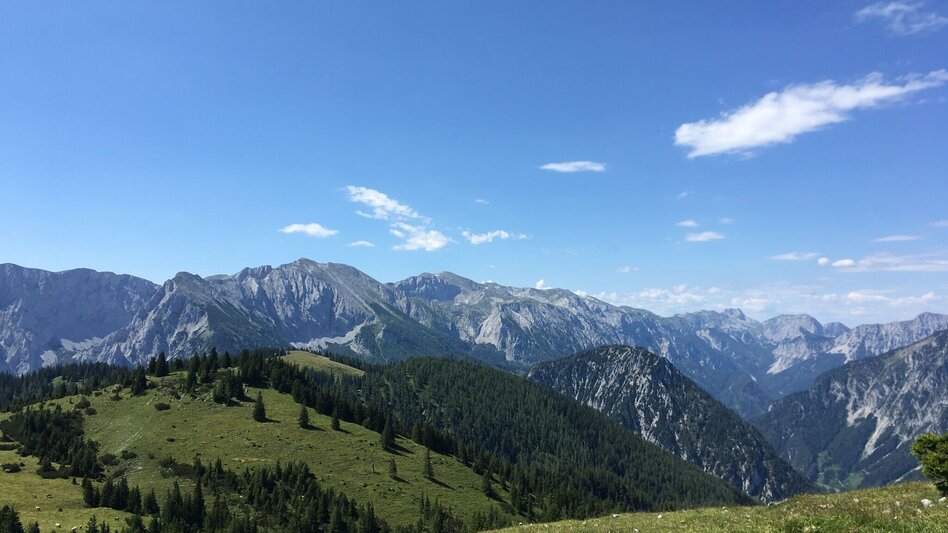 Hiking route Zeller Staritzen - round trip - Touren-Impression #2.7 | © TV Hochsteiermark