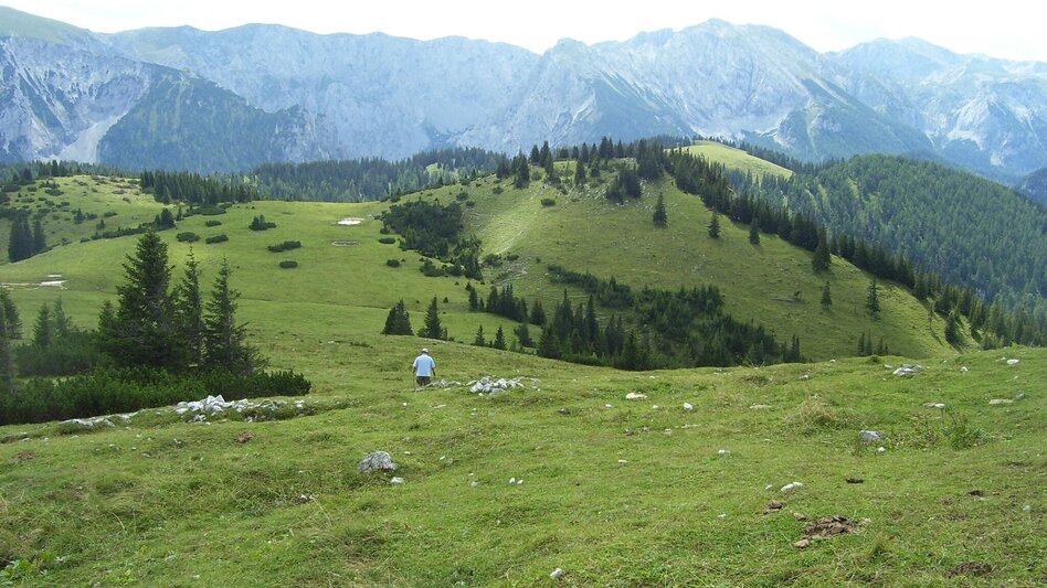 Hiking route Zeller Staritzen - round trip - Touren-Impression #2.8 | © TV Hochsteiermark