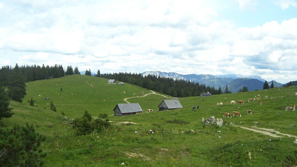 Hiking route Zeller Staritzen - round trip - Touren-Impression #2.10 | © TV Hochsteiermark