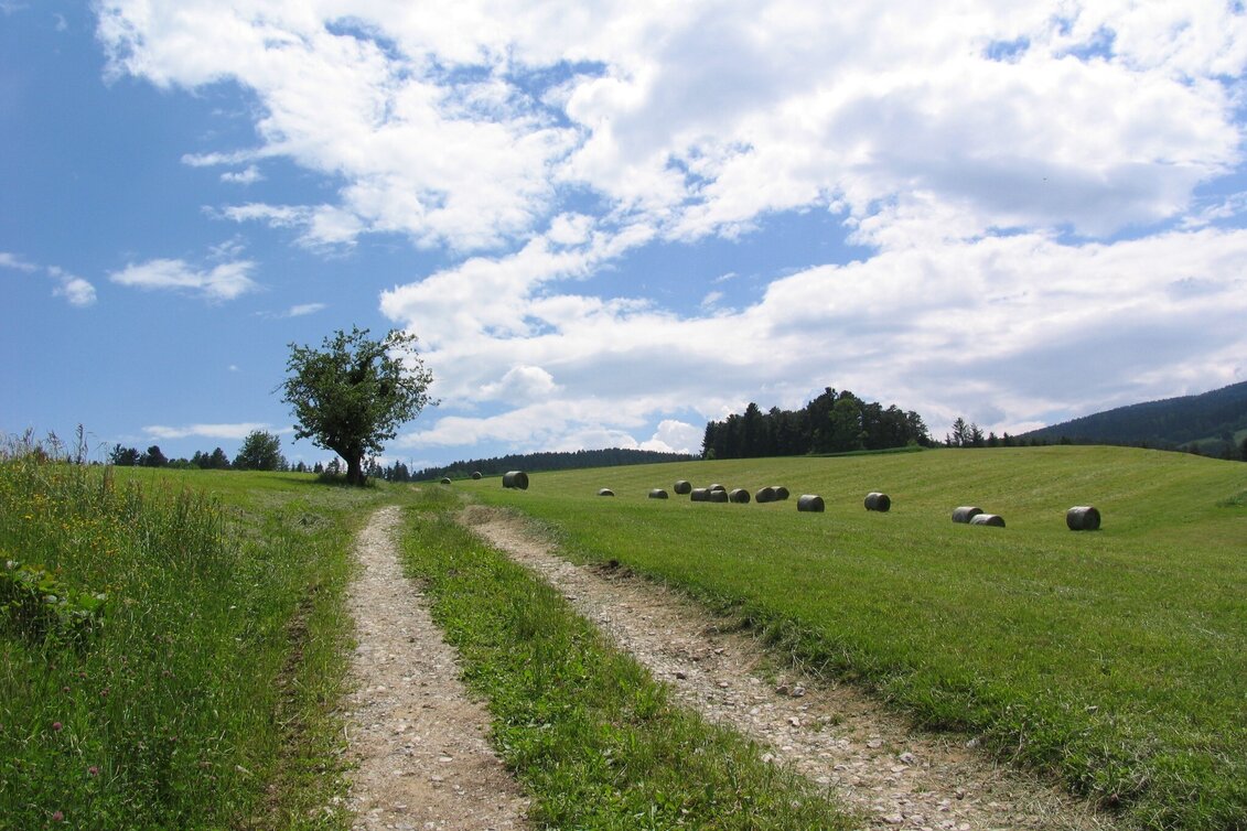 Hiking route Herlwirtweg - Touren-Impression #1