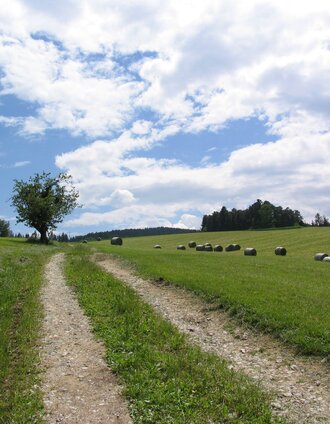 IMG_0085.JPG | Sven Raters, Ligist