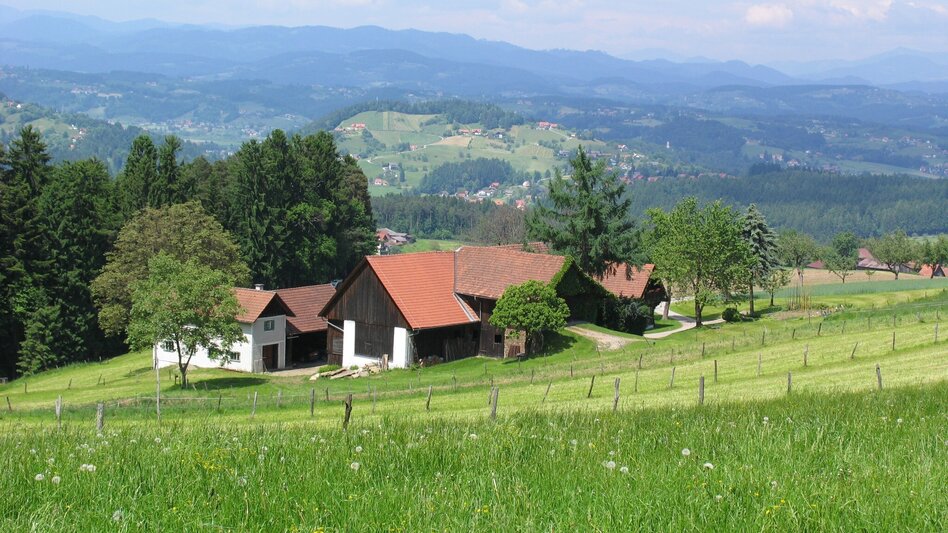 Hiking route Herlwirtweg - Touren-Impression #2.3