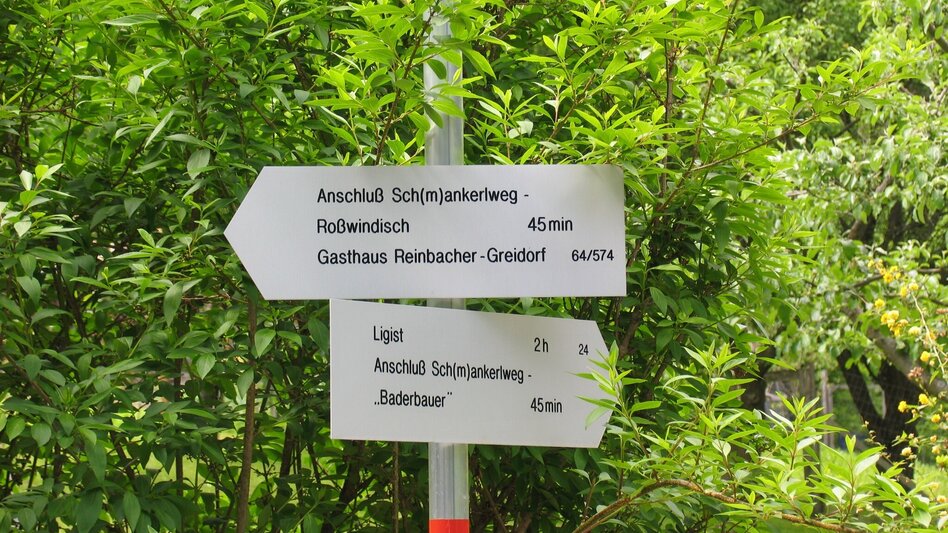 Hiking route Herlwirtweg - Touren-Impression #2.4