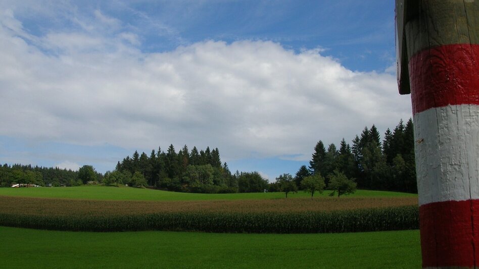 Hiking route Ligister Rundweg lang - Touren-Impression #2.2 | © agentur.smac