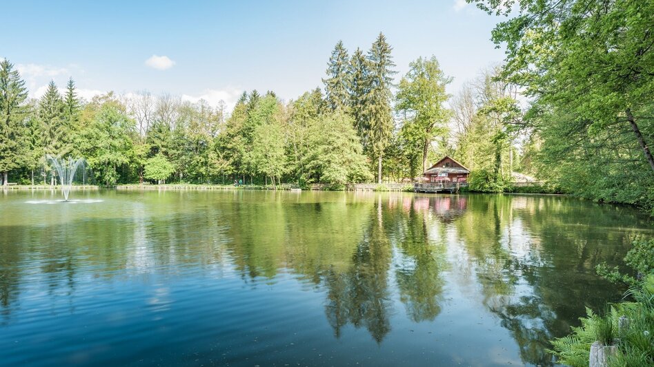 Hiking route Voitsberger Gesundheitsweg 2 - Touren-Impression #2.6 | © Stadtgemeinde Voitsberg
