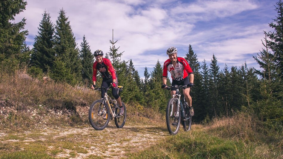 Mountain Biking Mountain Bike Route to Scheibe - Touren-Impression #2.1 | © TV Hochsteiermark